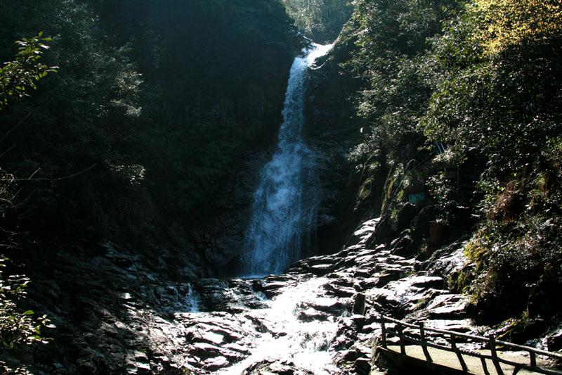 沪江开心词场